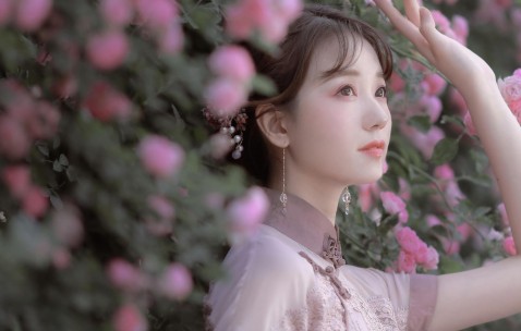 羊奶粉一段和二段口味一样吗