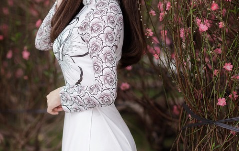 试管复苏大概要多少费用